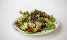 Teller mit üppig gemischtem Salatmix | © Photodesign Brandl